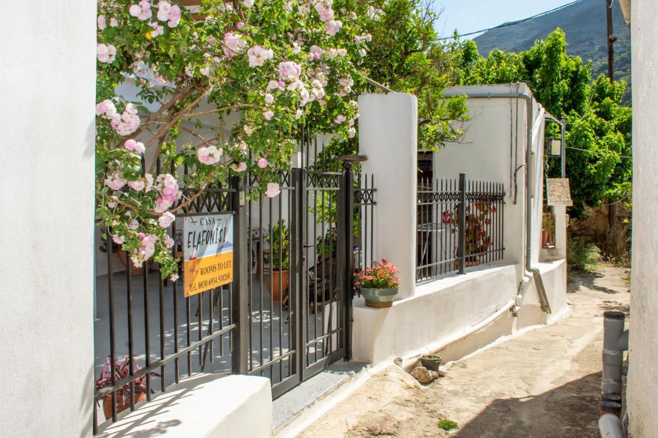 Casa Elafonisi Apartment Plokamiana Bagian luar foto